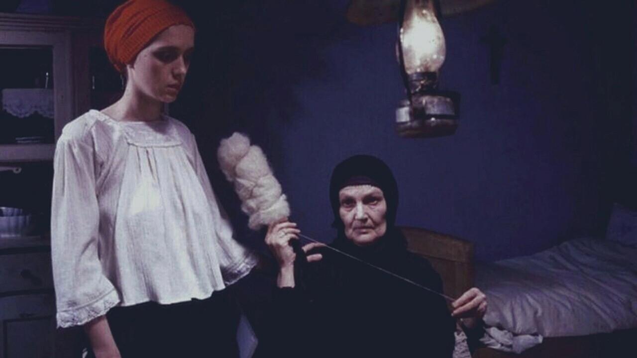 The Life of Stipe Zvonarov 1988 movie scene