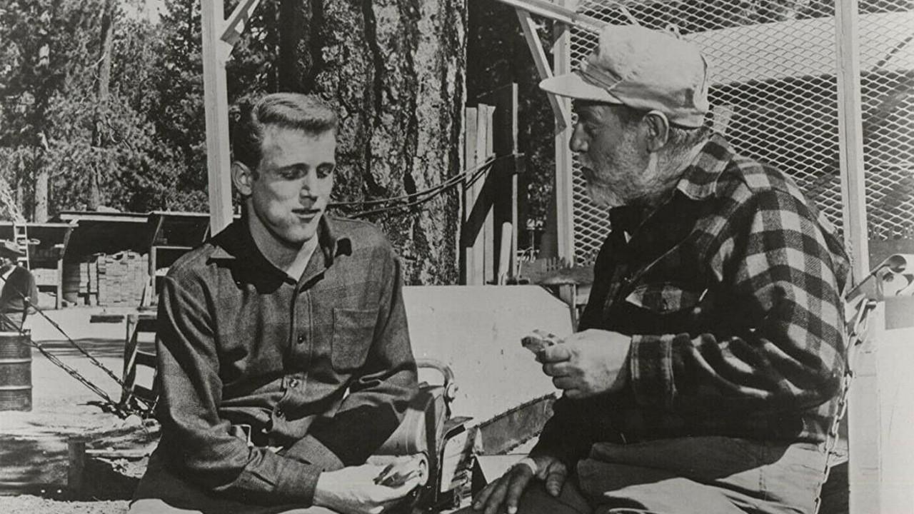 Freckles 1960 movie scene