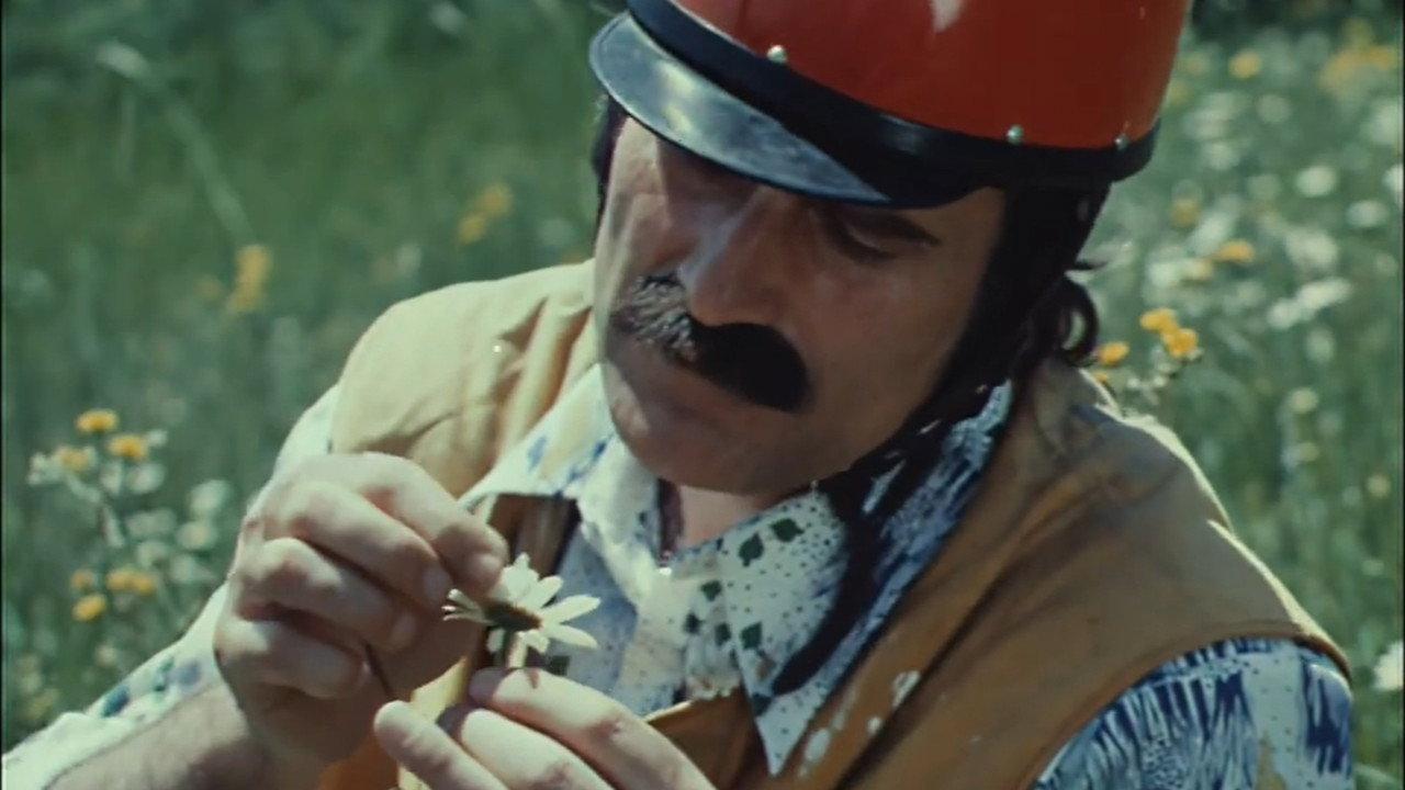Butterfly 1977 movie scene