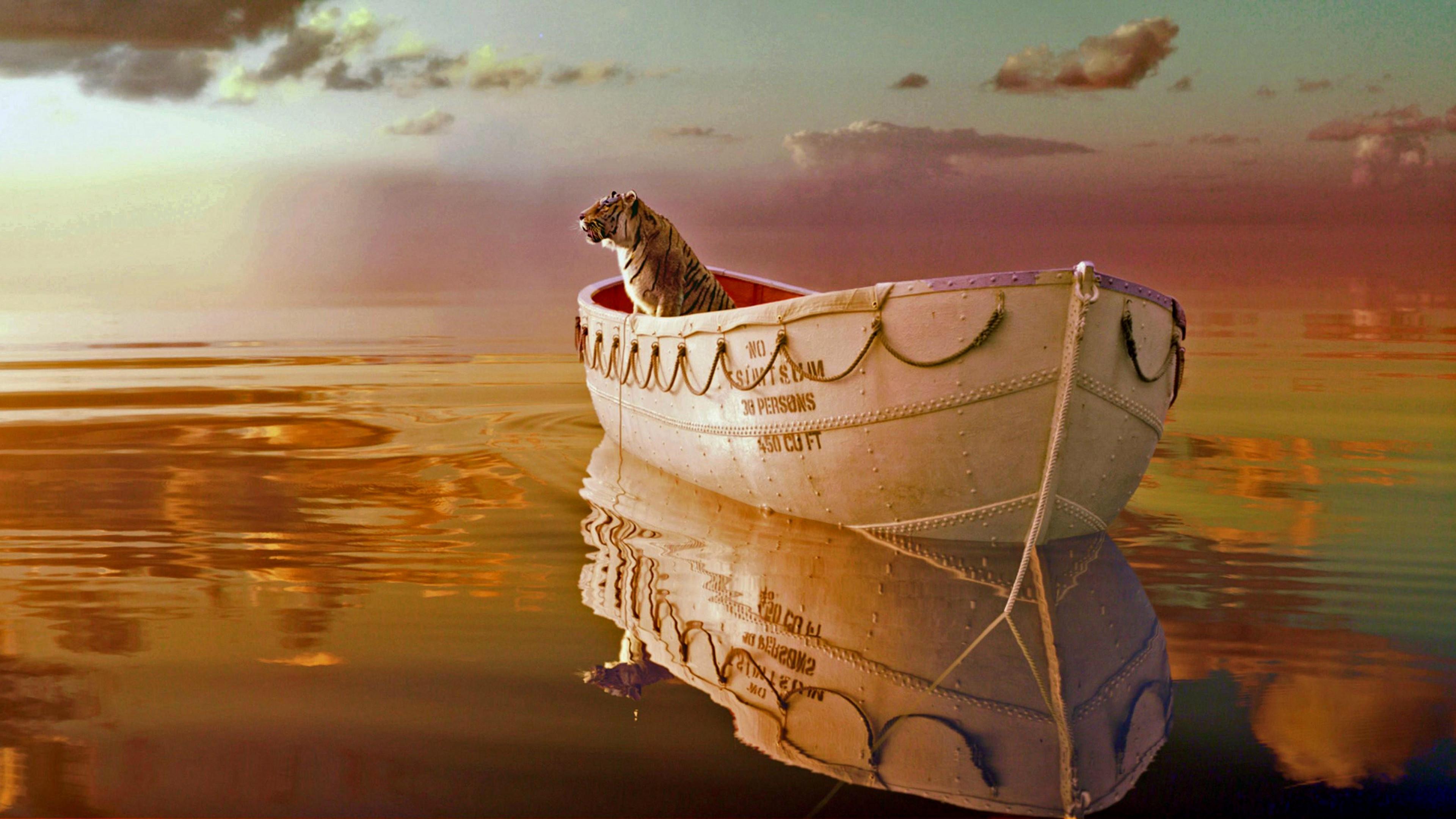 Life of Pi 2012 movie scene
