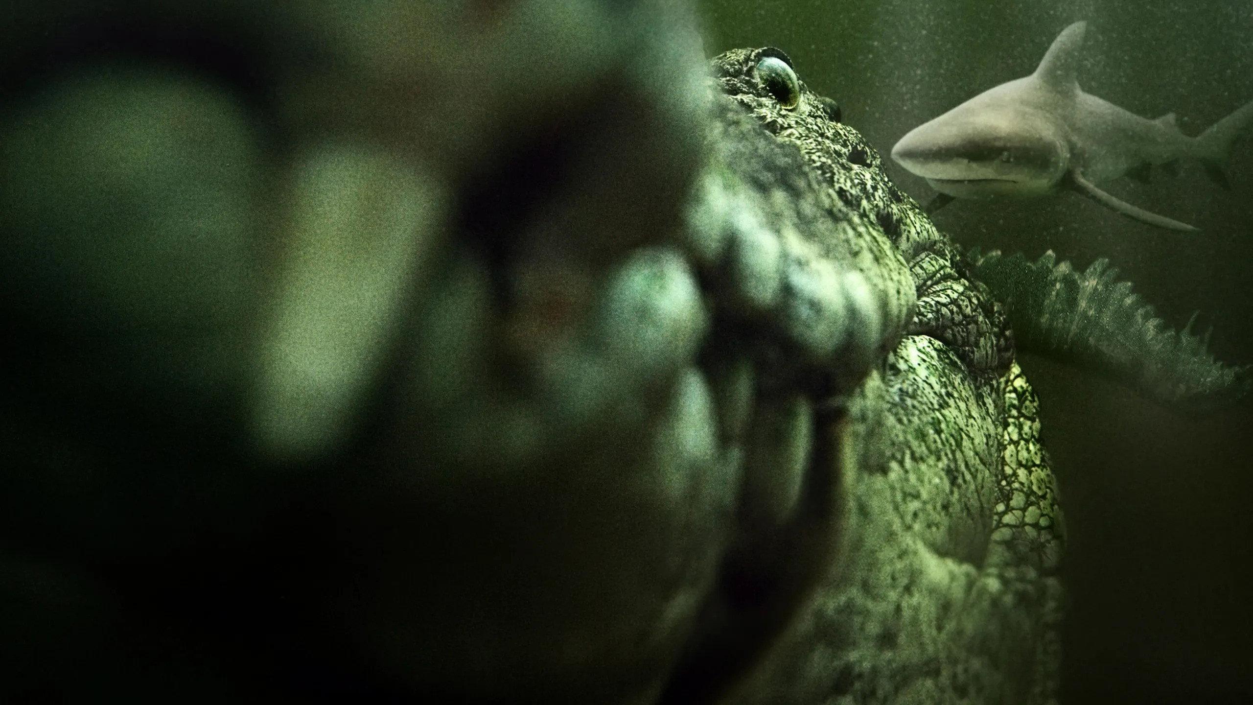 Shark vs. Giant Croc 2026 movie scene