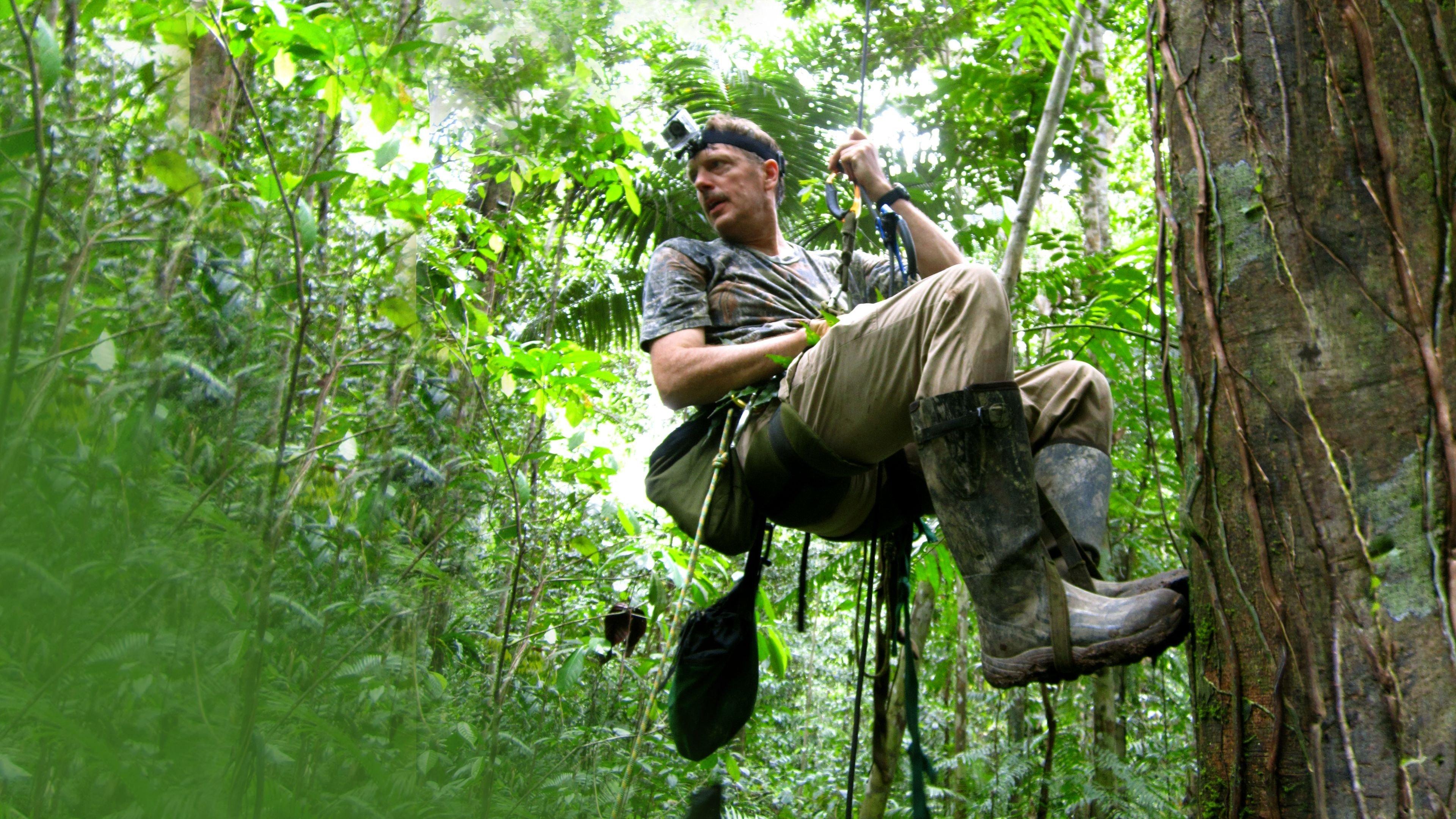 Winged Seduction: Birds of Paradise 2012 movie scene