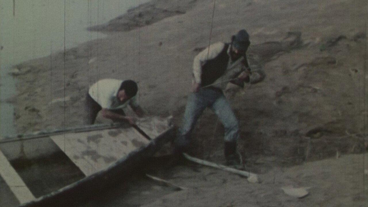 Poison River 1975 movie scene