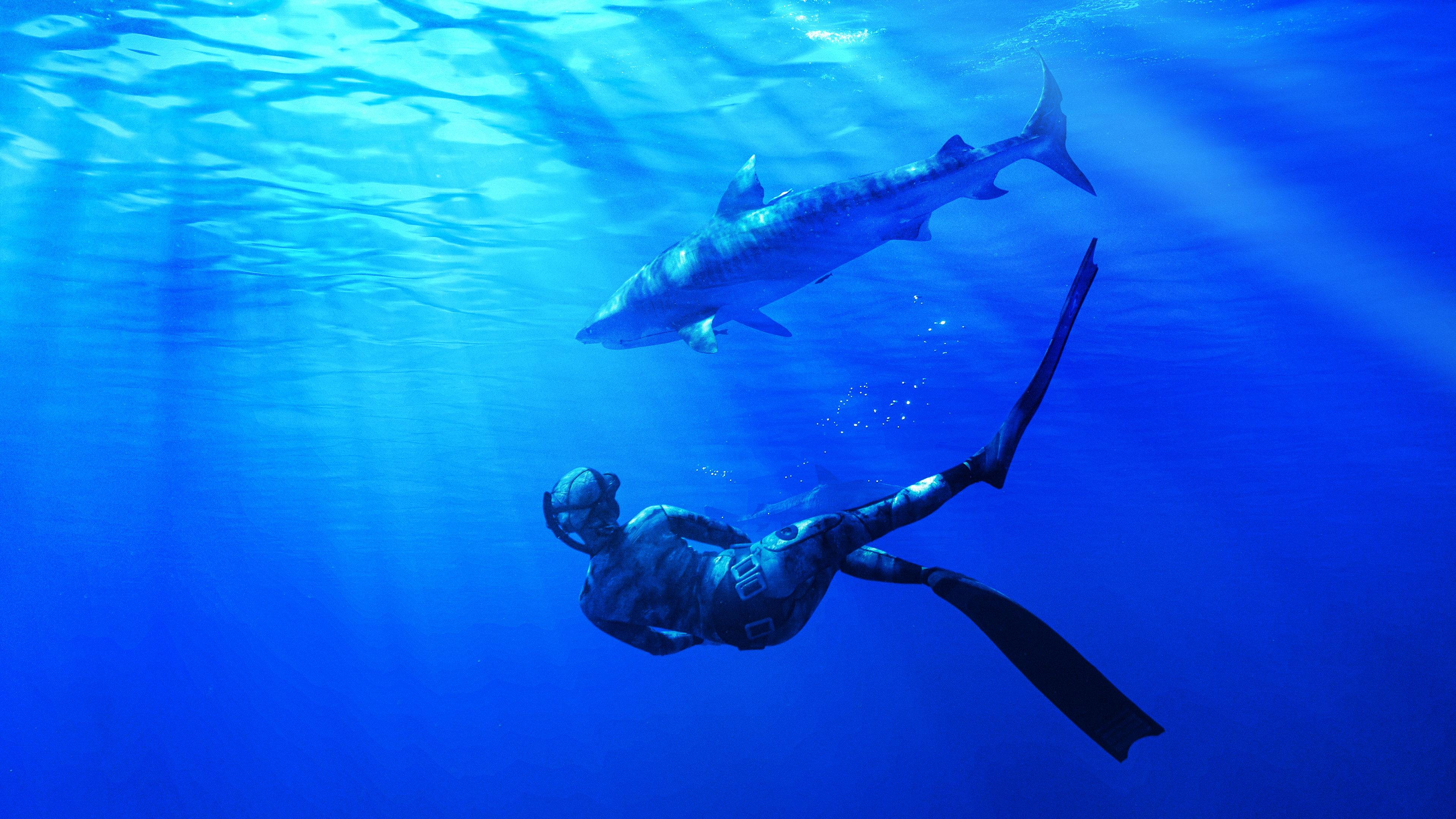 Maui Shark Mystery 2022 movie scene