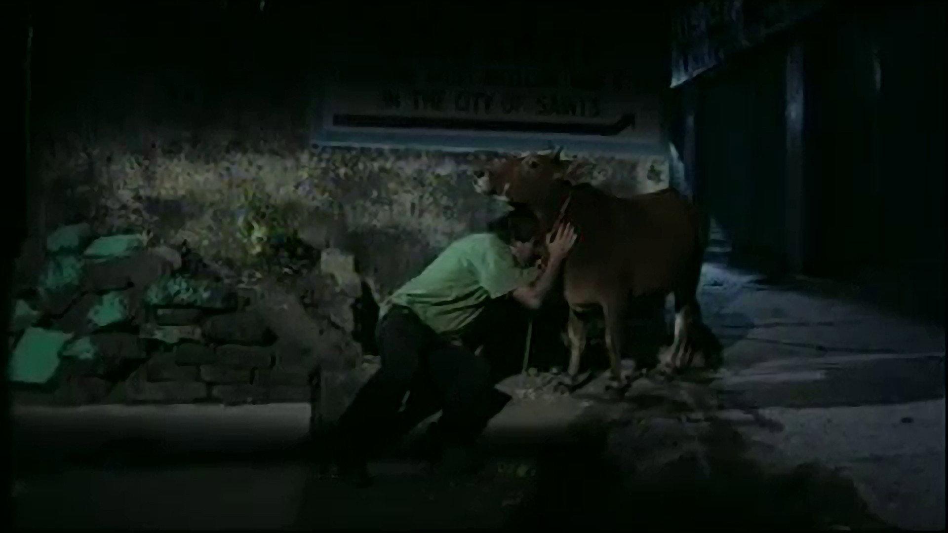 Letters from Rishikesh 2004 movie scene