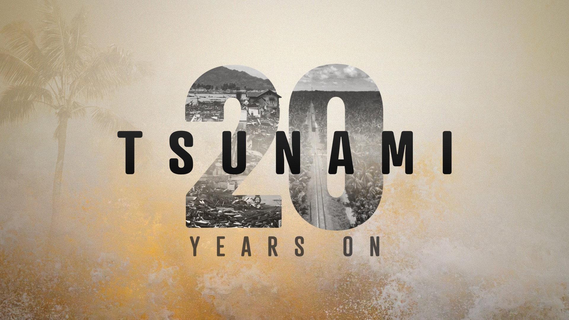 Tsunami: 20 Years On 2024 movie scene