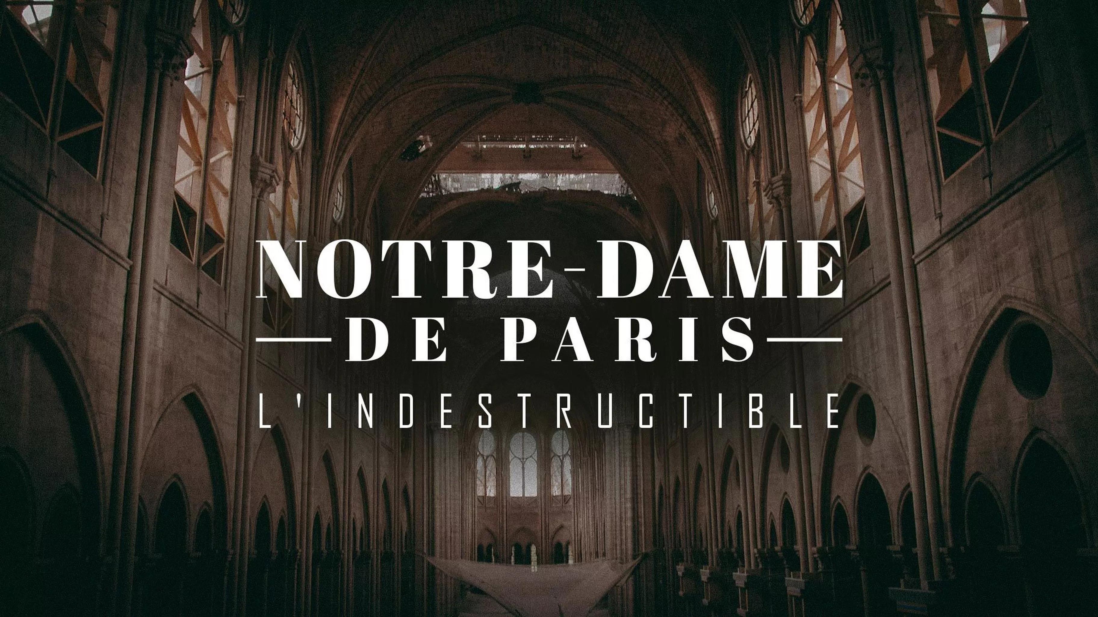 Notre-Dame de Paris, l'indestructible 2020 movie scene