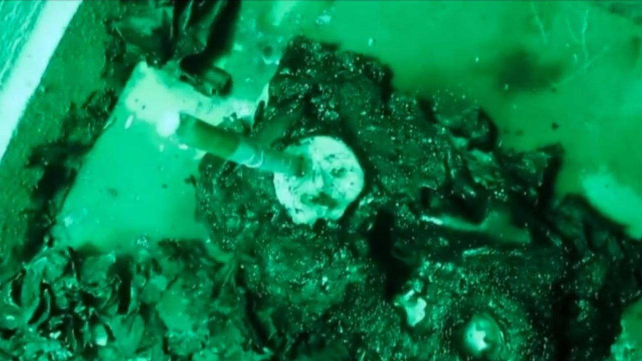 Era Locadora 2017 movie scene