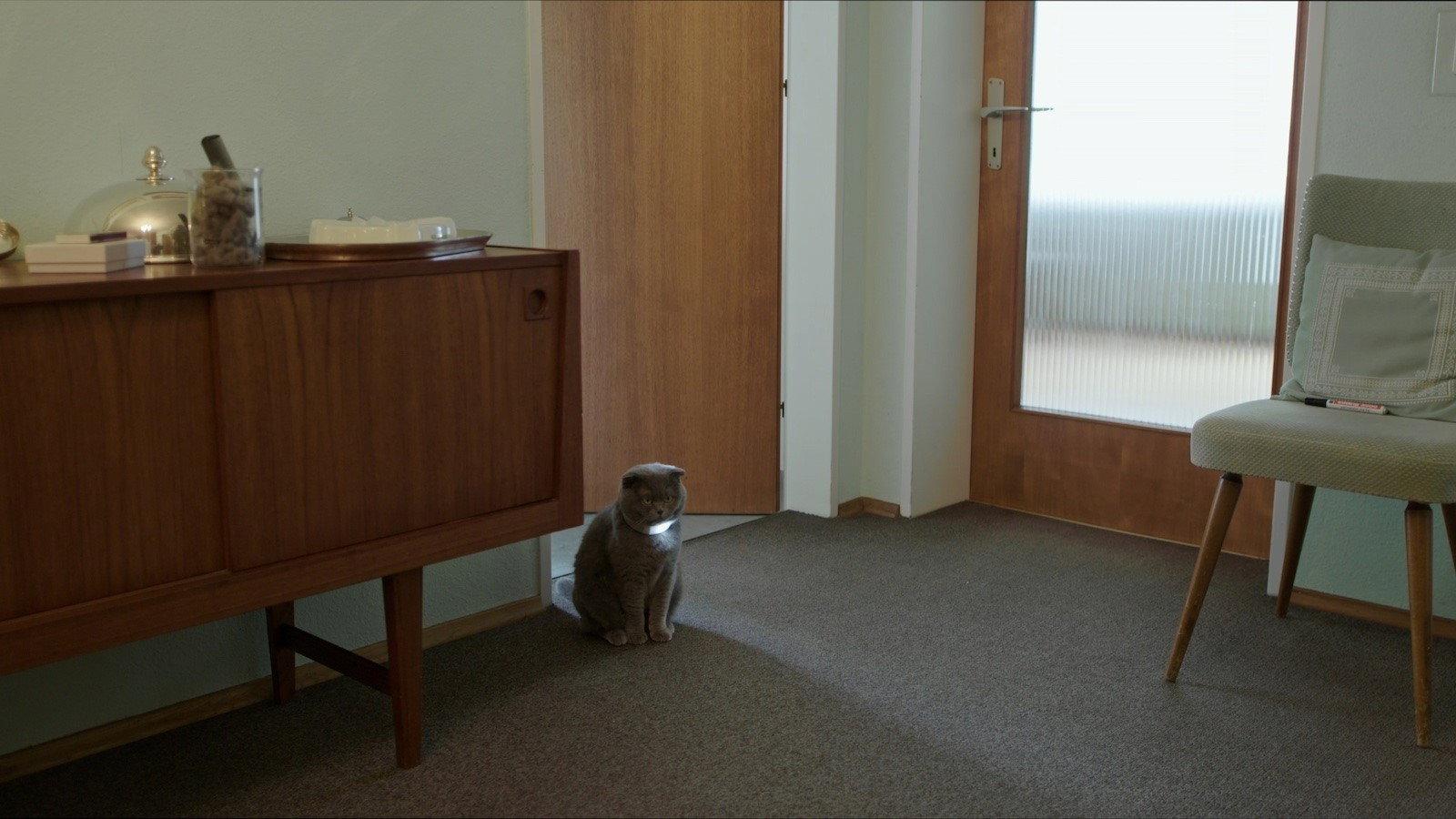 All Cats Are Grey in the Dark 2019 movie scene
