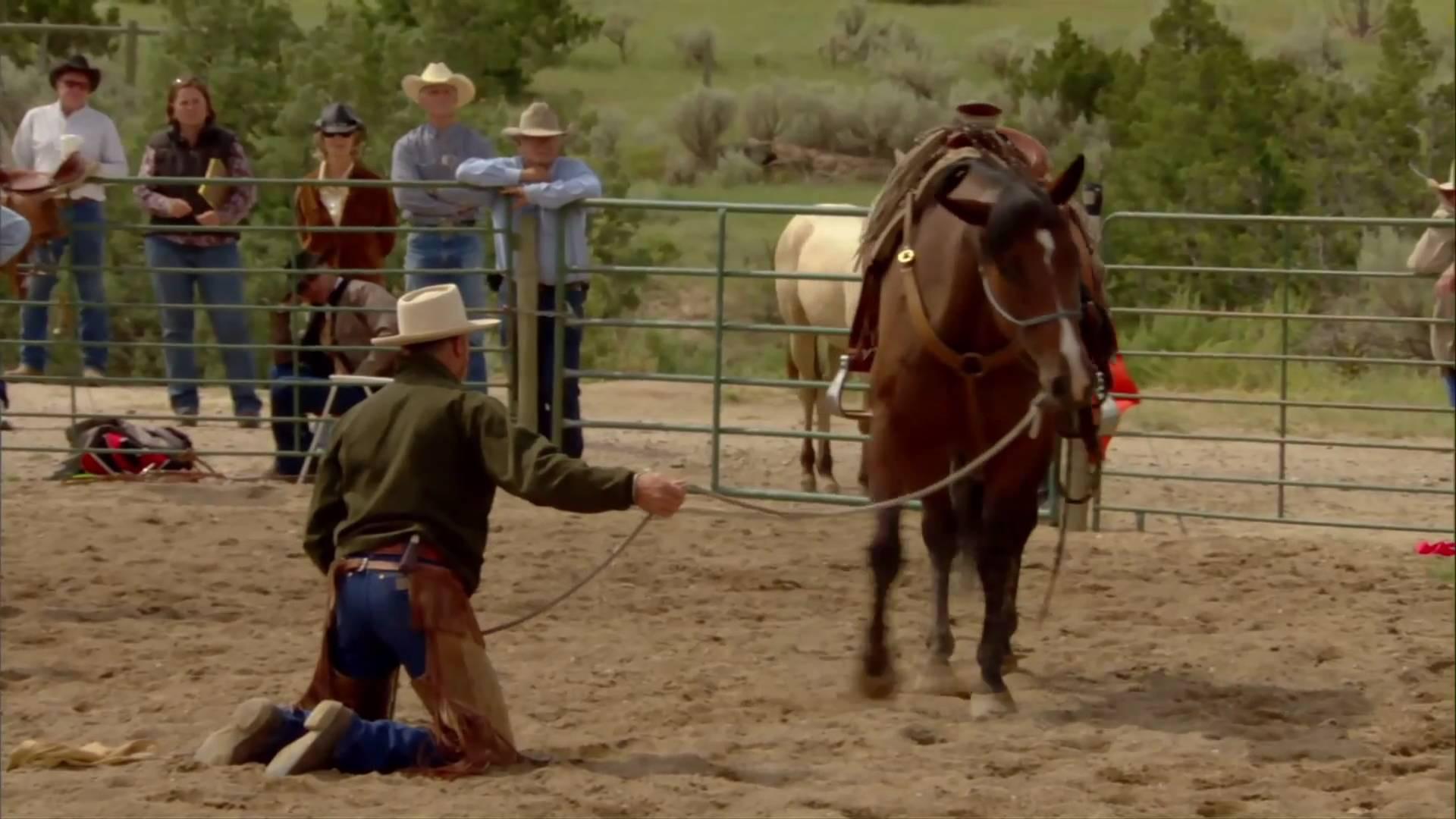 Buck 2011 movie scene