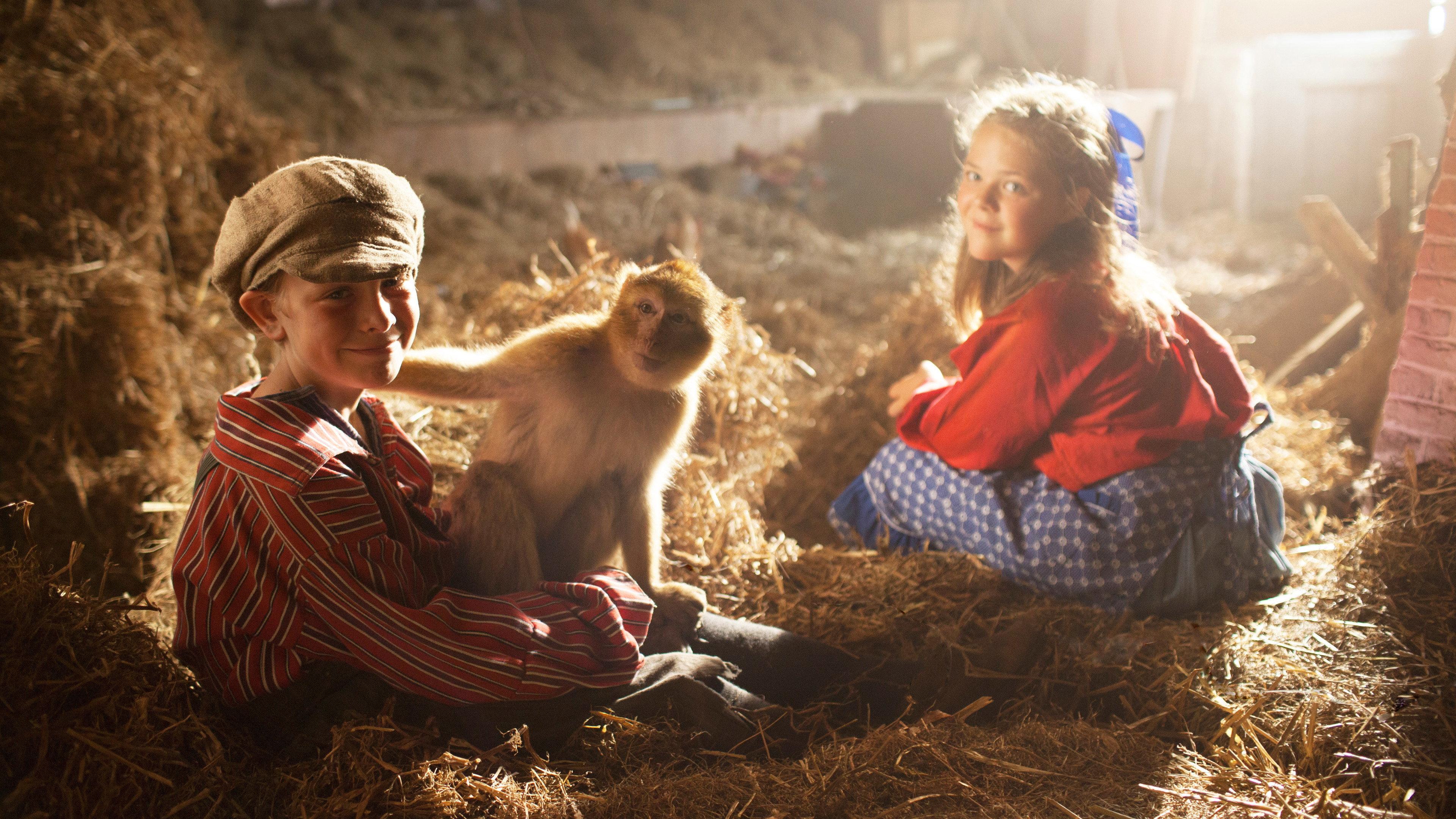 Monkey Business 2015 movie scene