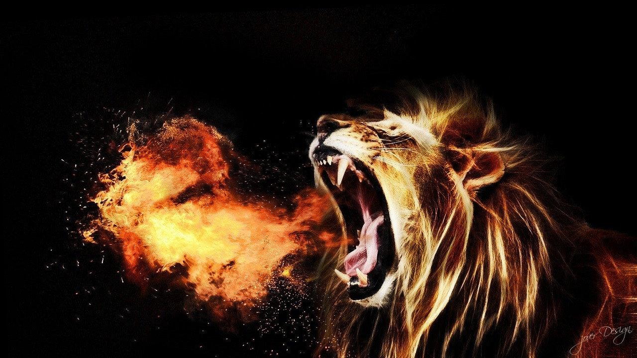 Let the Lion Roar 2014 movie scene