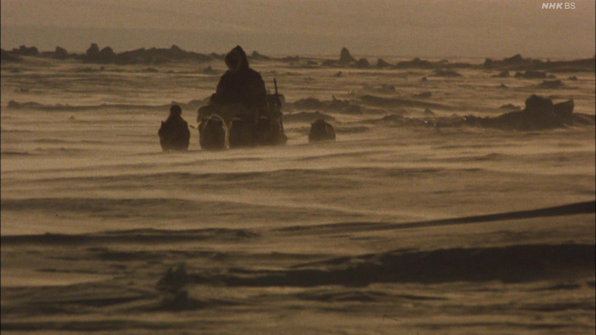 Lost in the Wilderness 1986 movie scene
