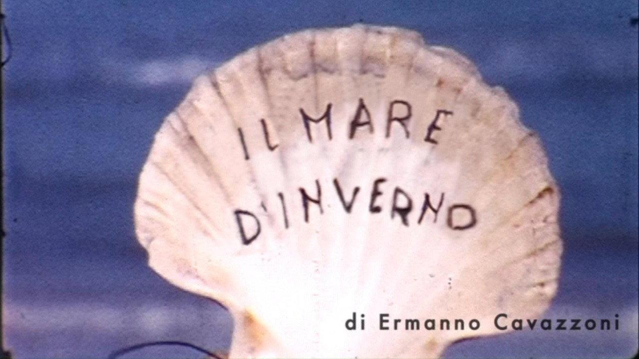 Formato ridotto - Libere riscritture del cinema amatoriale 2013 movie scene