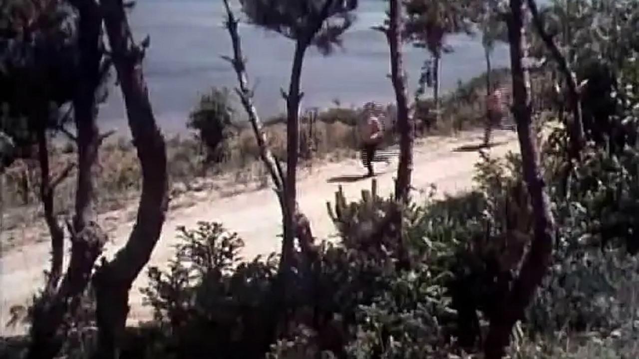 Hai shang ming zhu 1976 movie scene