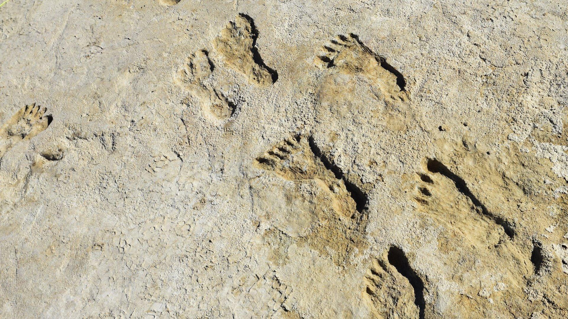 Ice Age Footprints 2022 movie scene