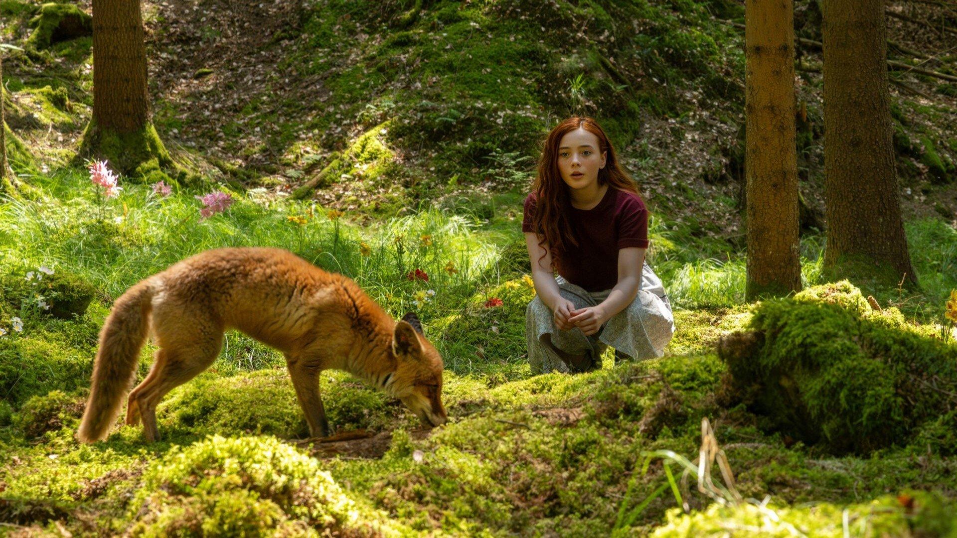 A Girl Named Willow 2025 movie scene