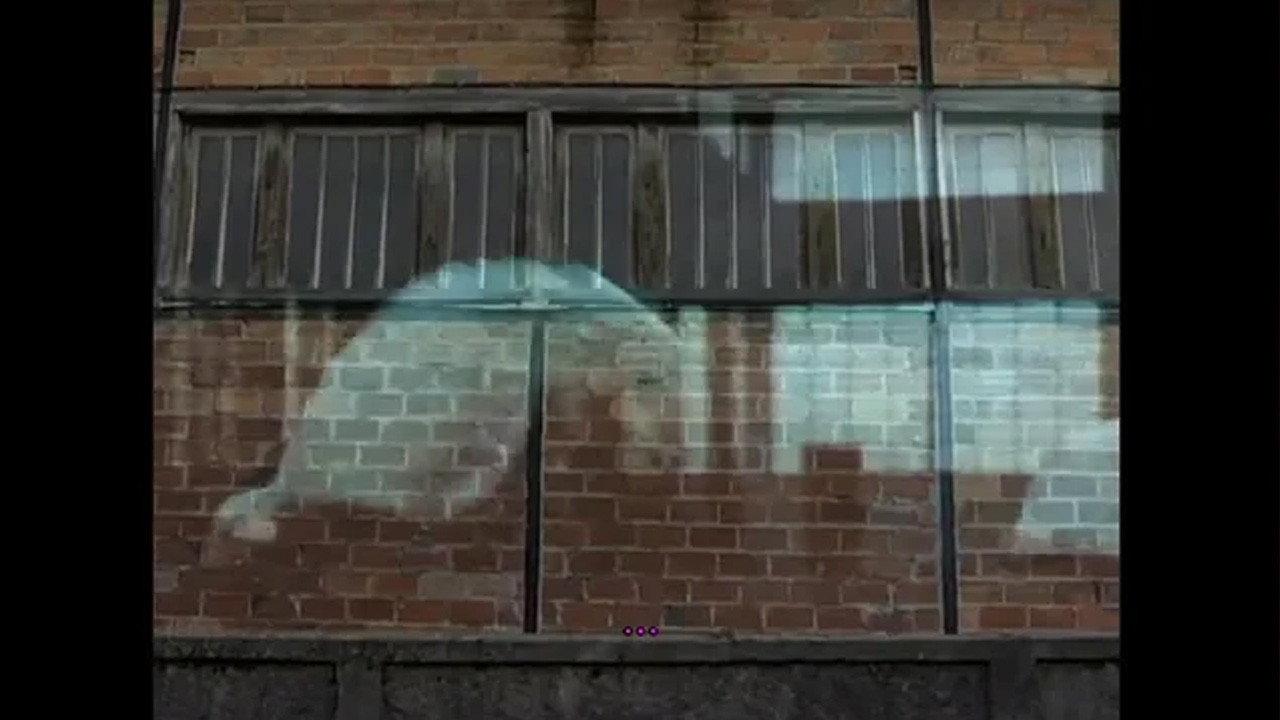 L'Homme qui danse 2004 movie scene
