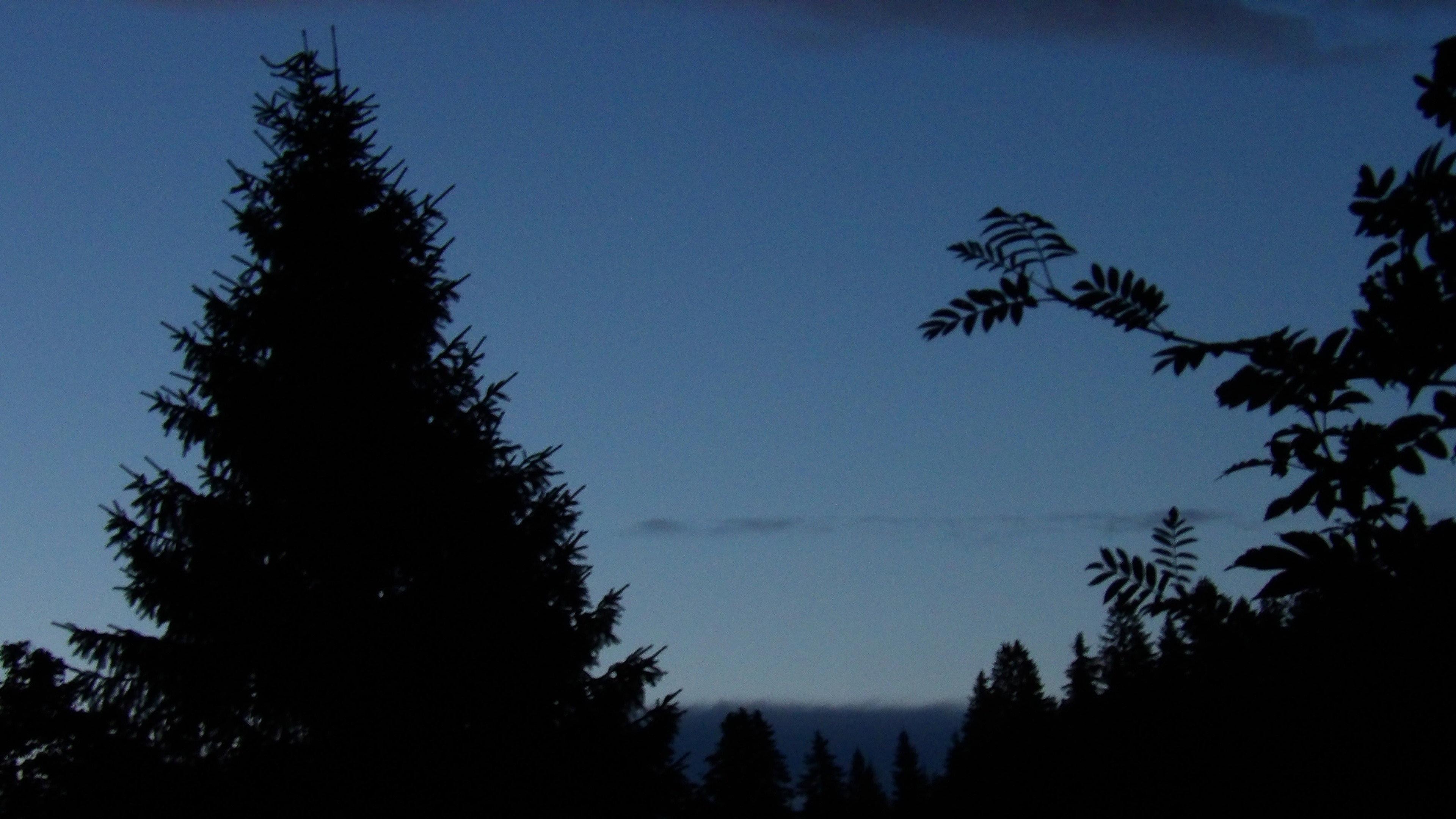 The Blue Hour 2027 movie scene