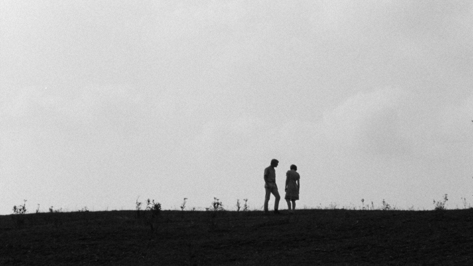 Spring Night, Summer Night 1967 movie scene