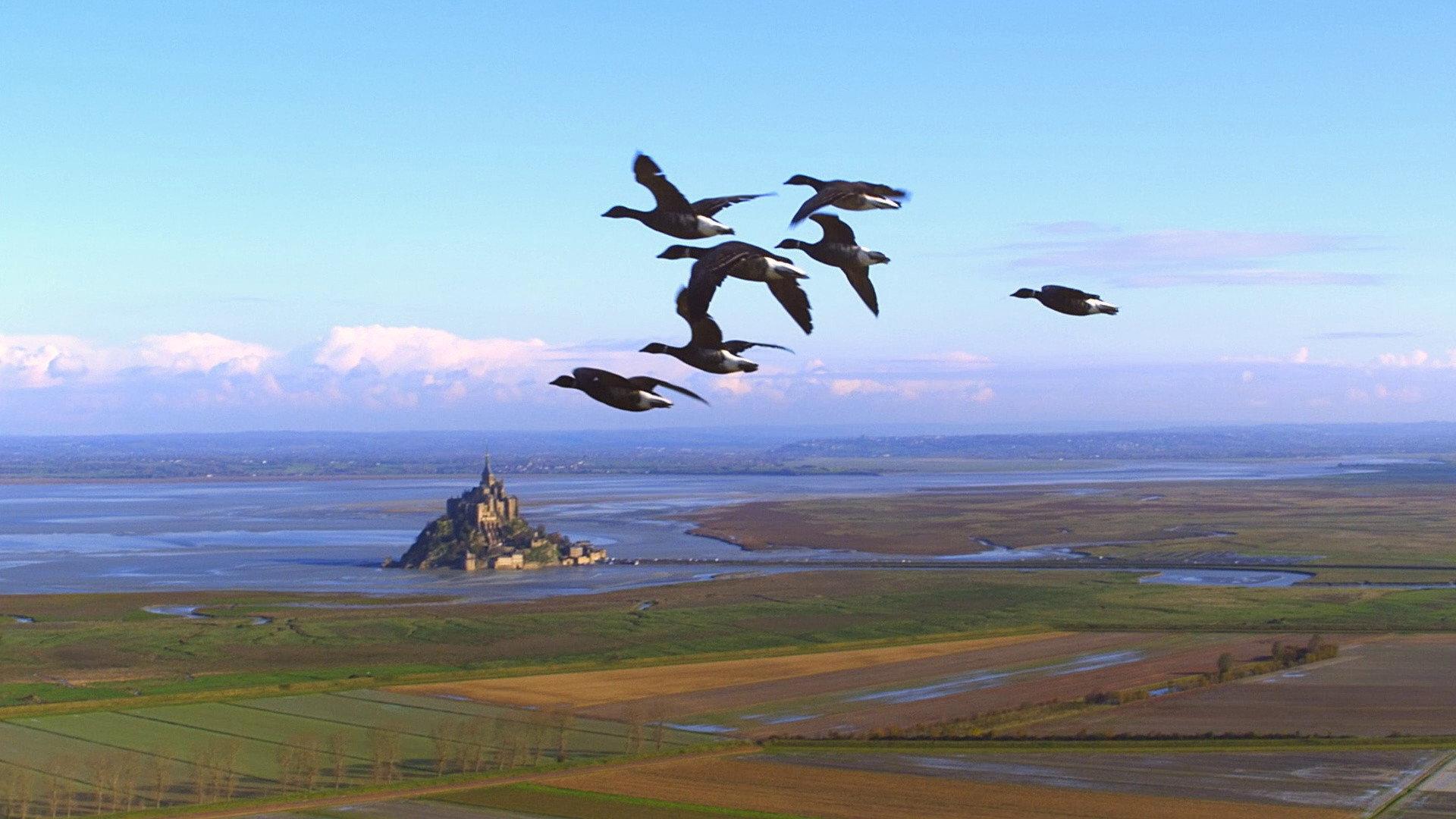 Wings 3D 2014 movie scene