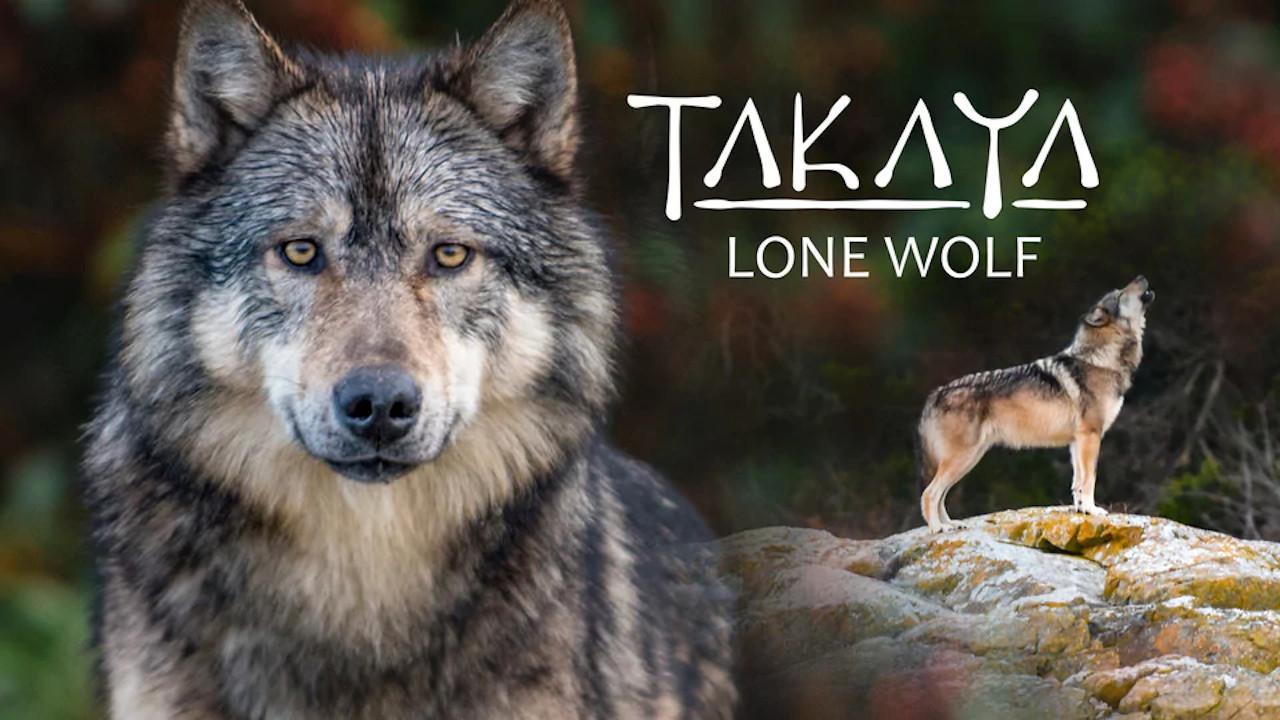 Takaya, Lone Wolf 2019 movie scene