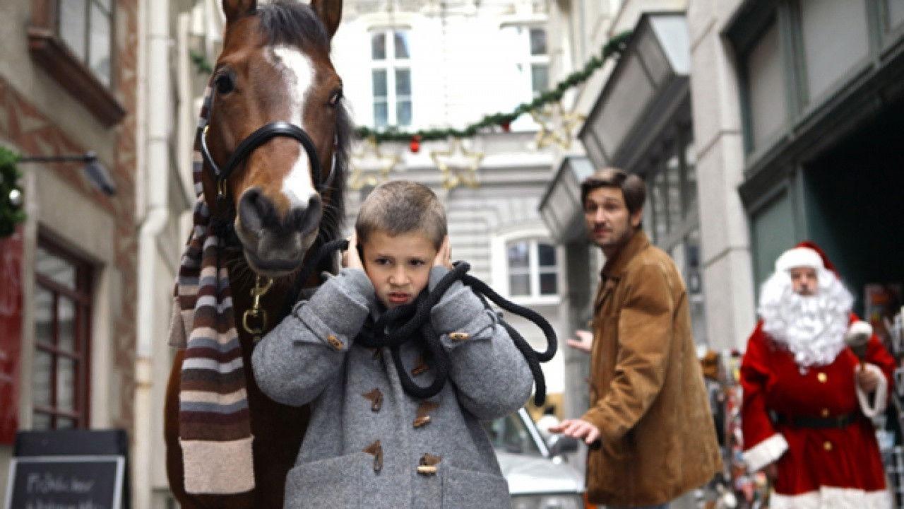 The Horse on the Balcony 2012 movie scene