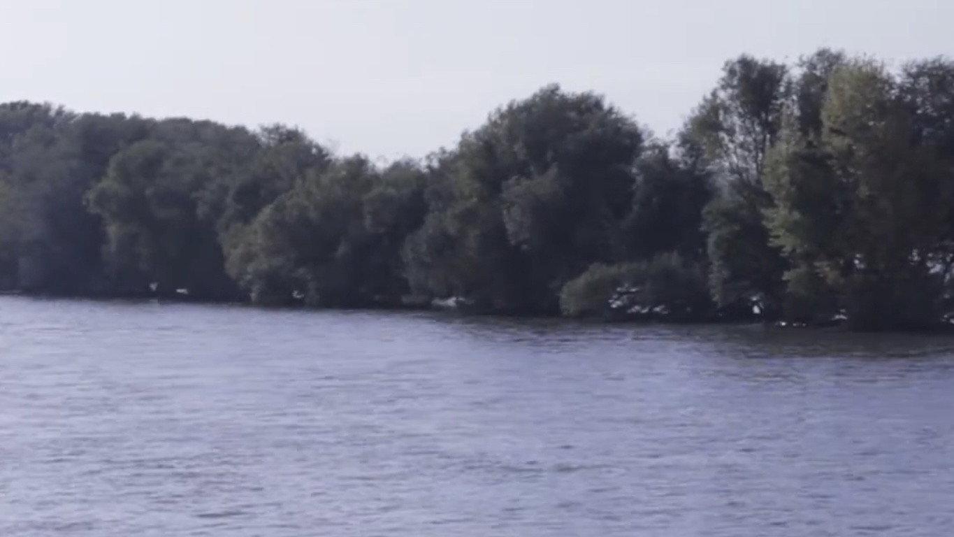Flow & Rive 2021 movie scene