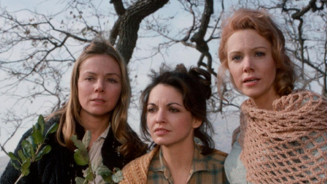 The New Daughters of Joshua Cabe 1976 movie scene