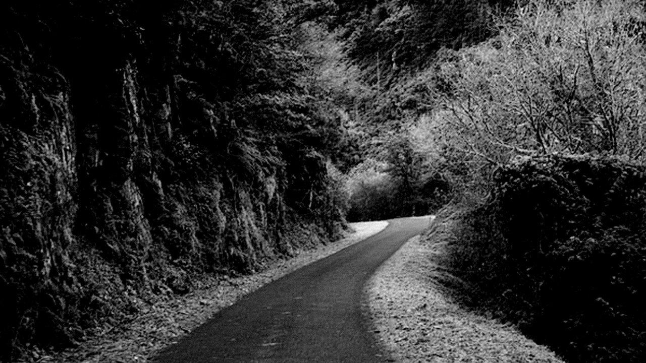 Praise of the Distance 2008 movie scene