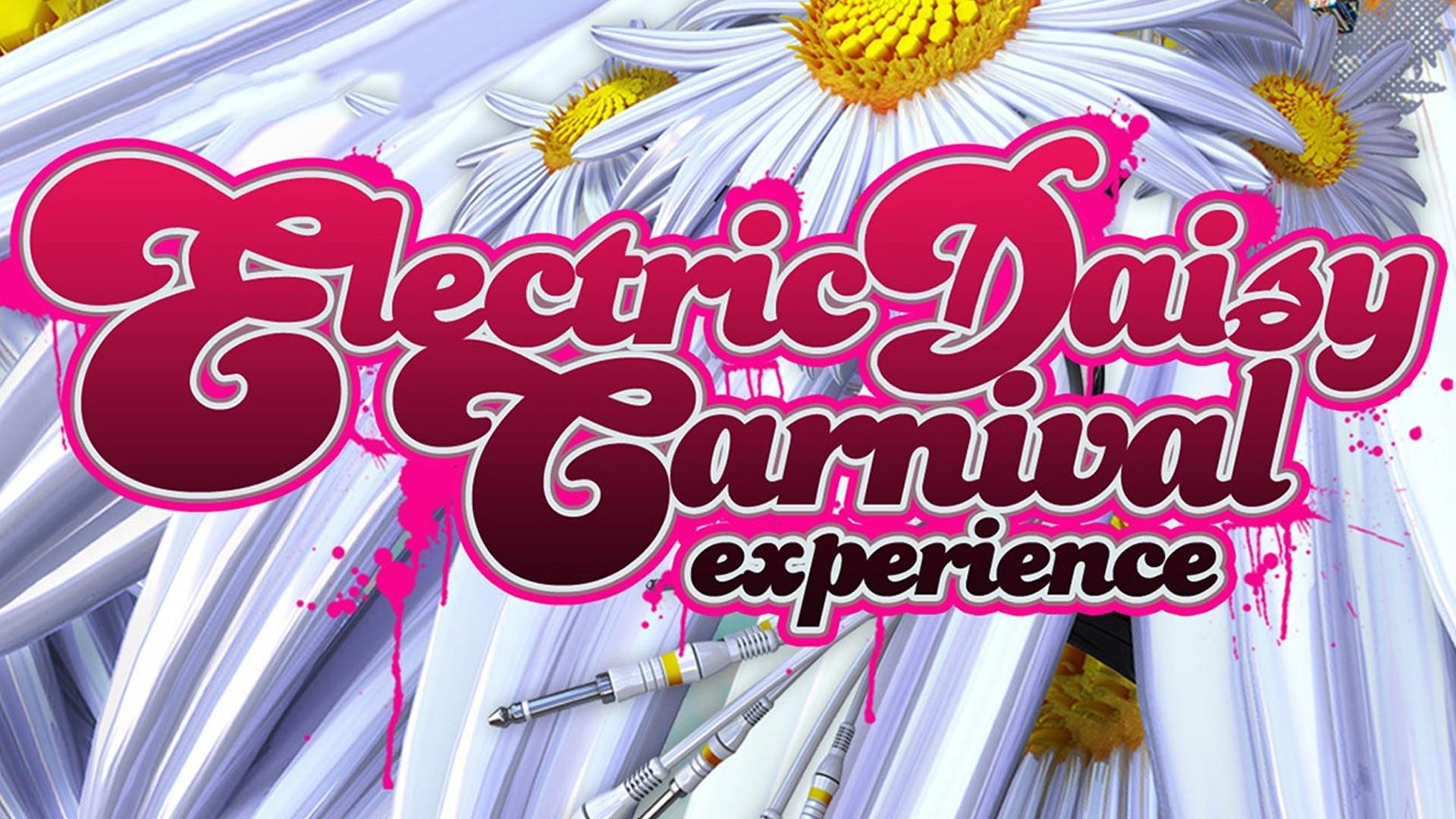 Electric Daisy Carnival Experience 2011 movie scene