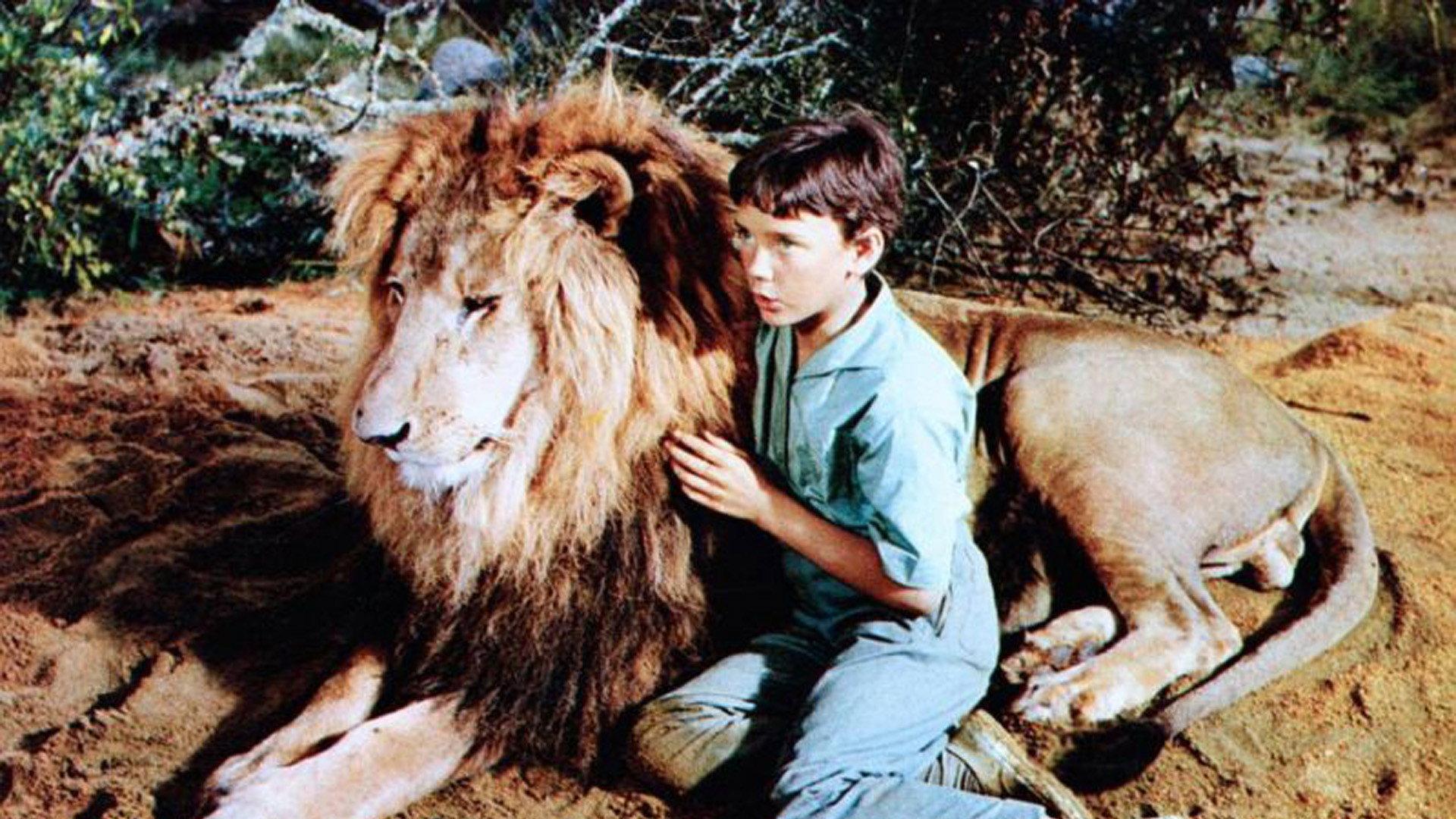 The Lion 1962 movie scene