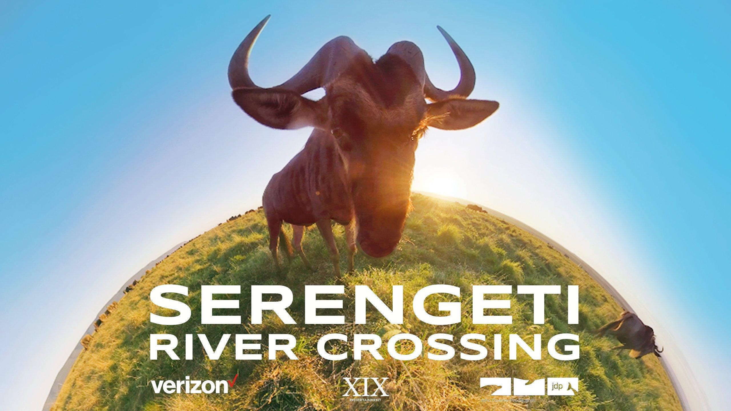 Serengeti River Crossing 2021 movie scene