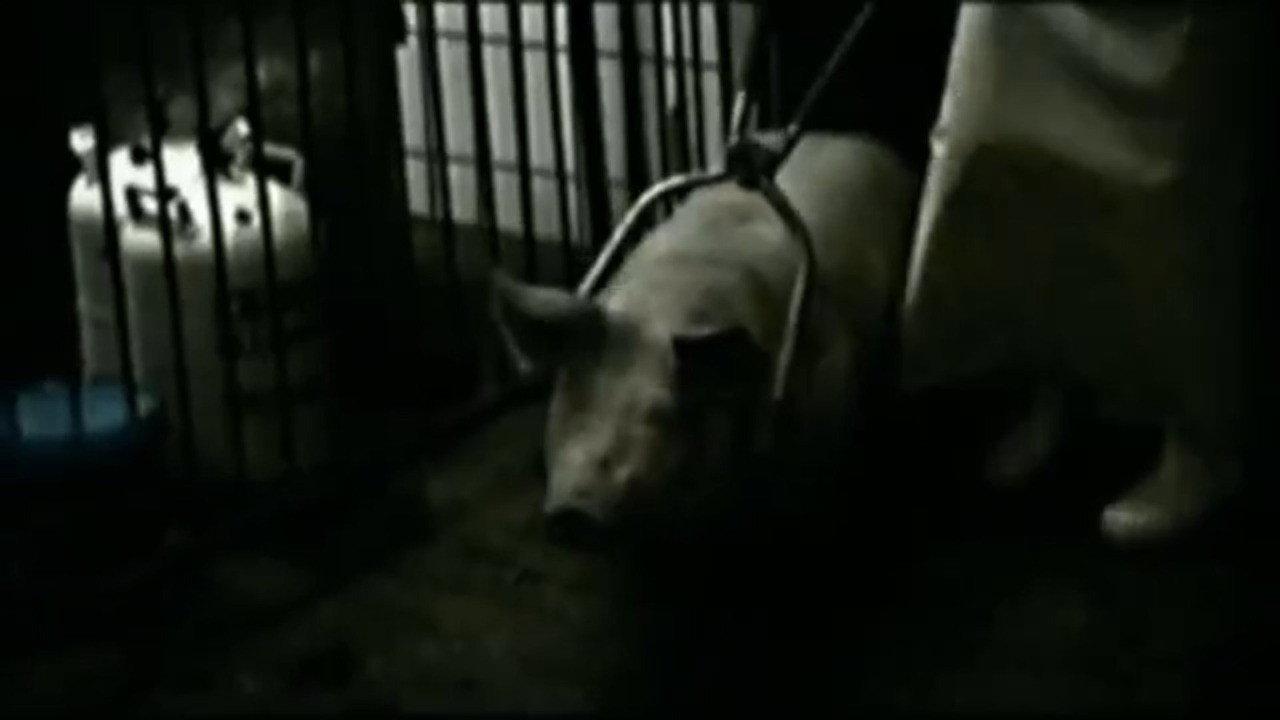 Opus Hominis 1996 movie scene