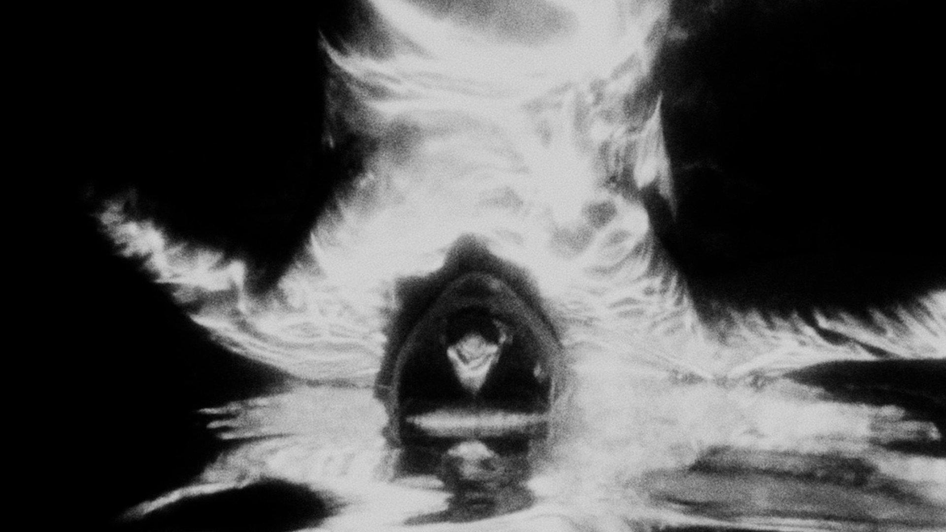 Psychotronic Attacks 2024 movie scene