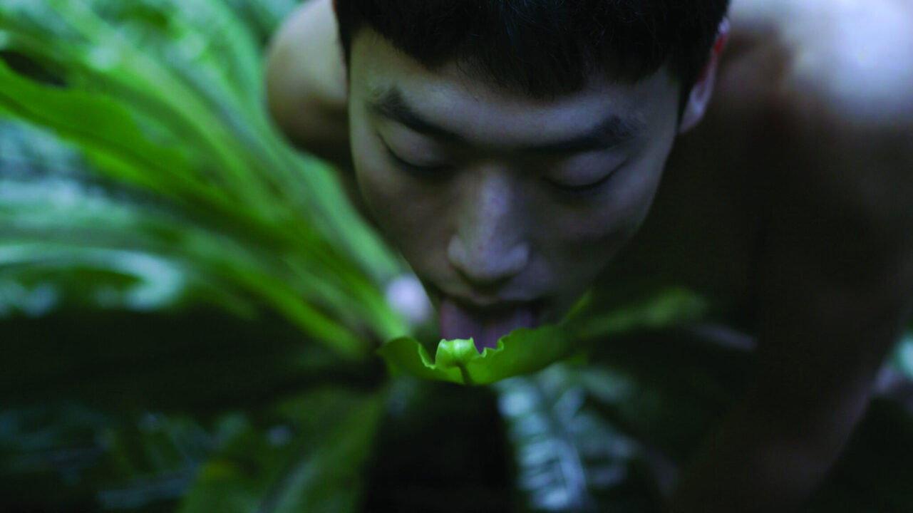 Pteridophilia 2016 movie scene