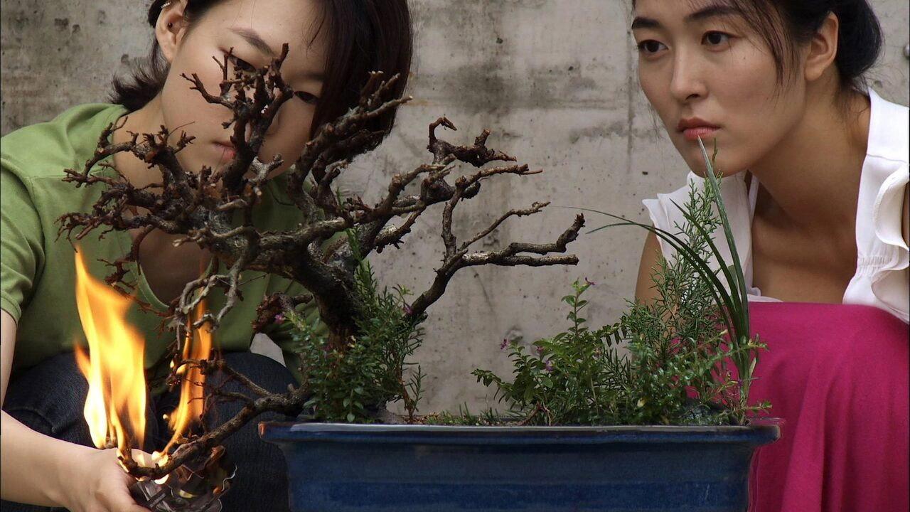 Anyang, Paradise City 2010 movie scene