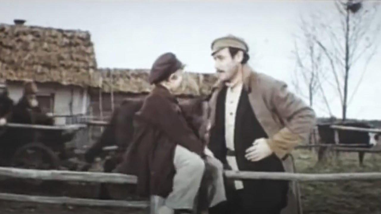 The Geese-Swans Fly 1974 movie scene