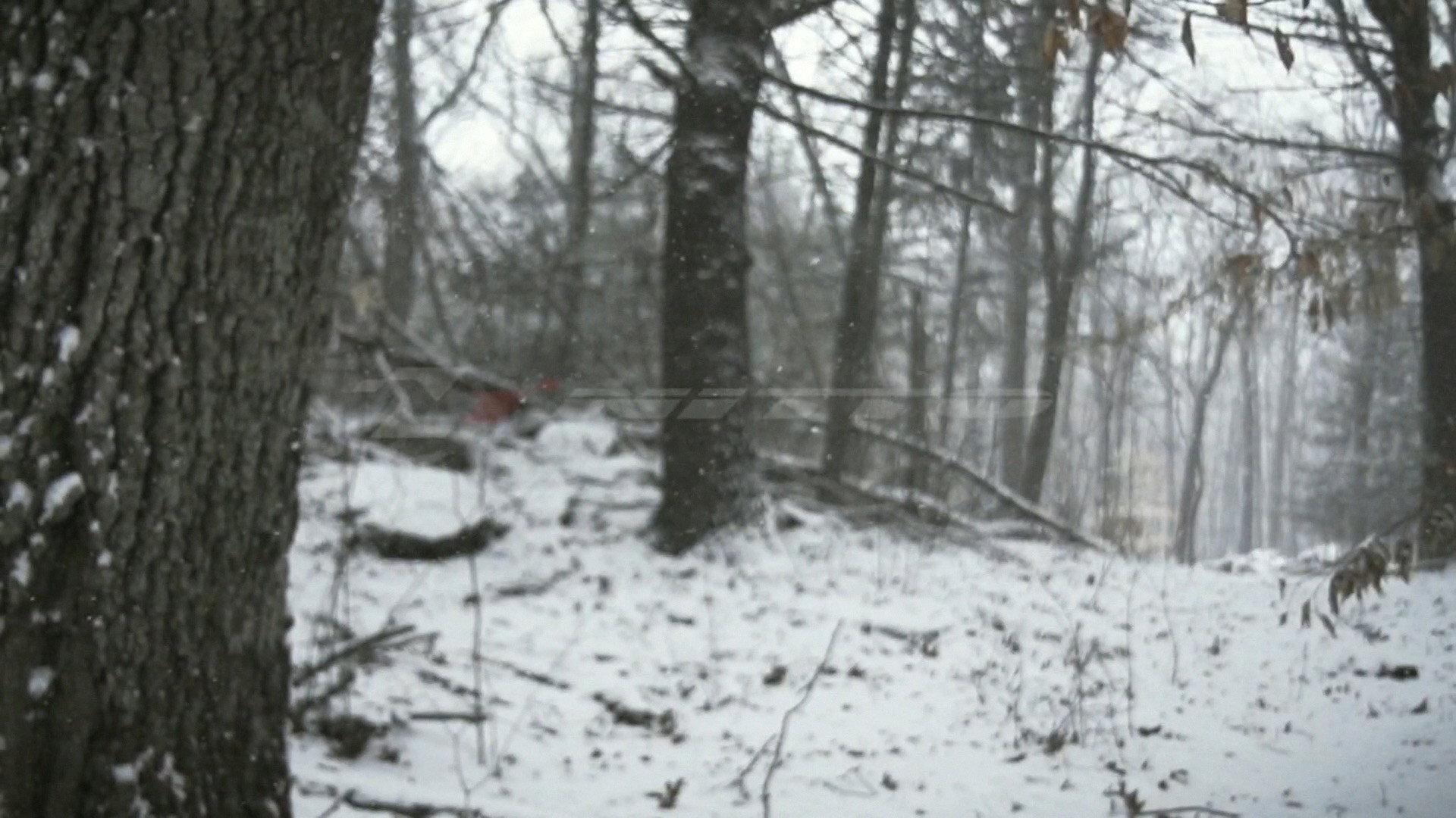 Element of Survival 2014 movie scene