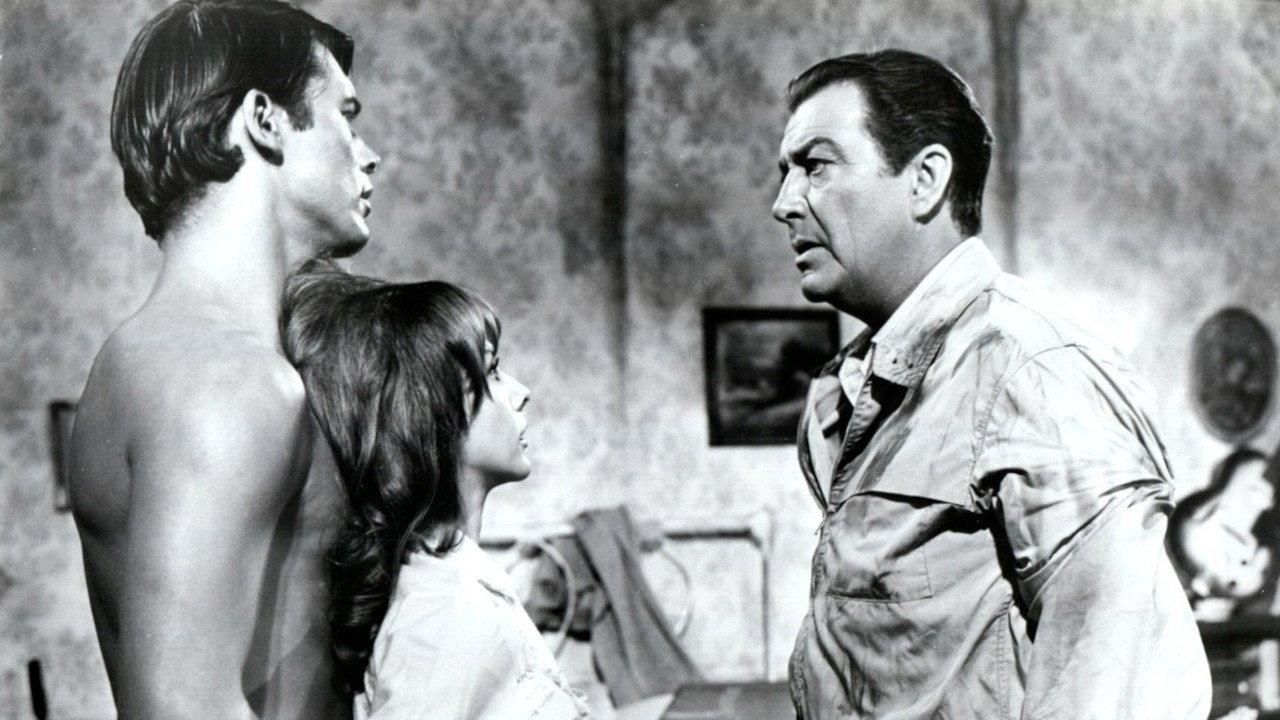Johnny Tiger 1966 movie scene