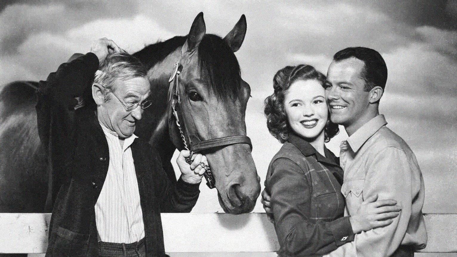 The Story of Seabiscuit 1949 movie scene