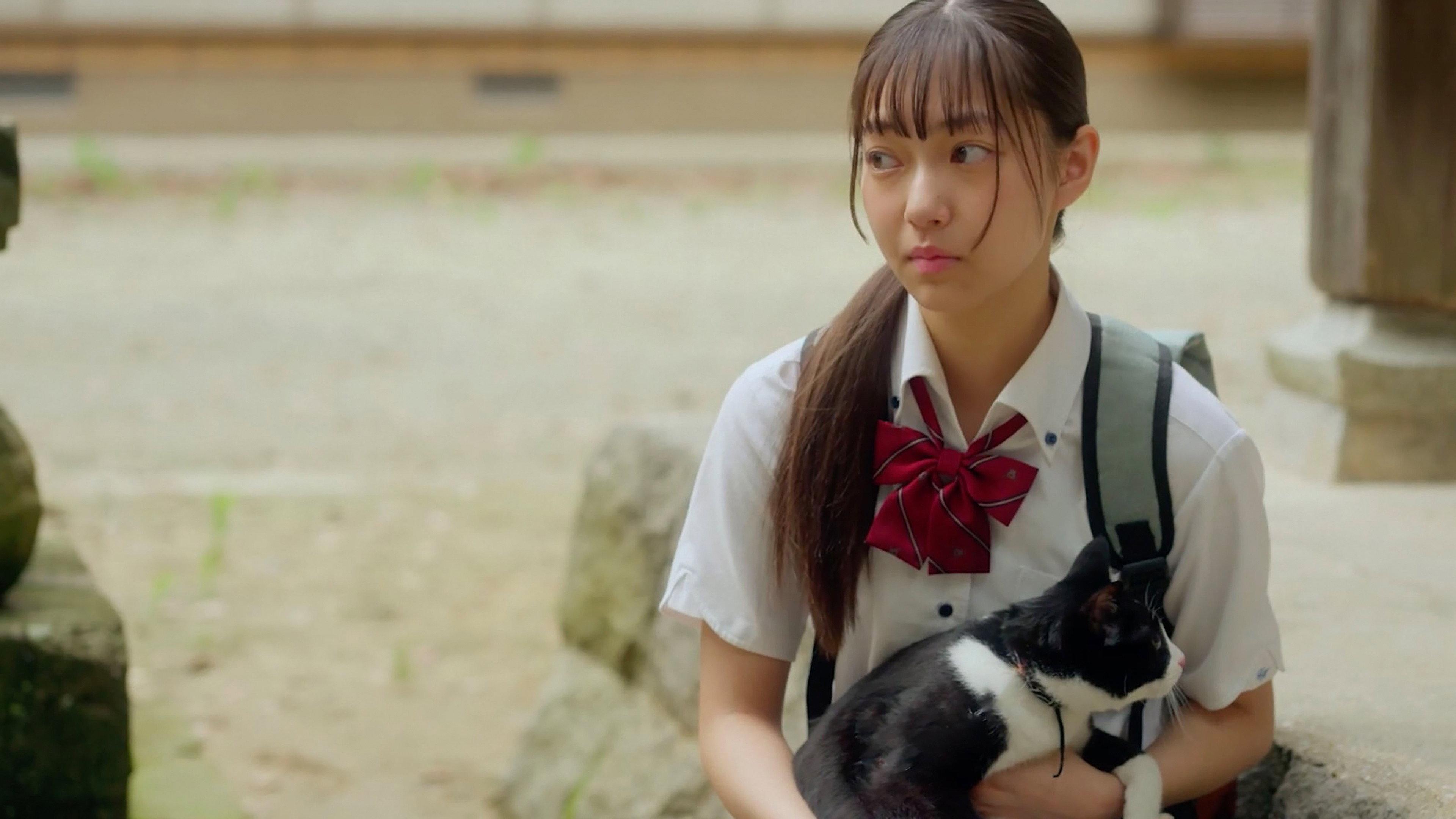 The Cat, Me and Another Cat 2024 movie scene