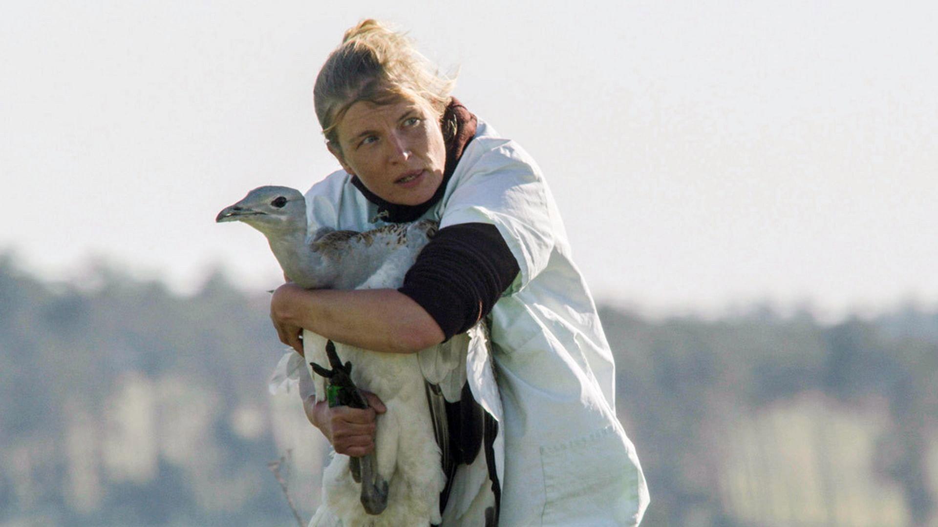 Glorious Bustards 2021 movie scene