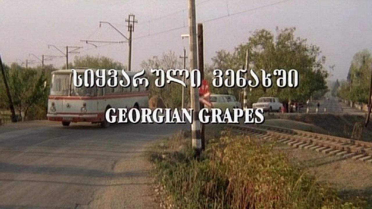 Georgian Grapes 1999 movie scene