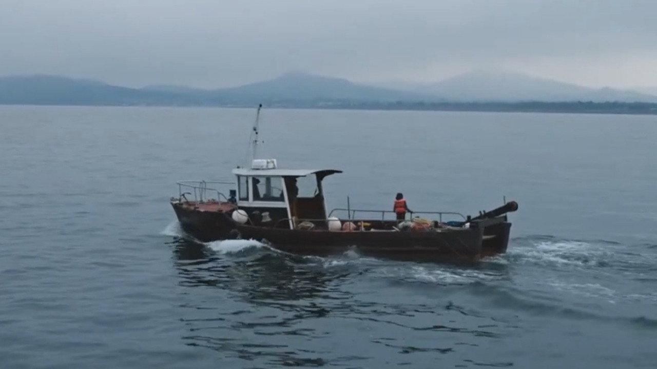 Low Tide 2018 movie scene