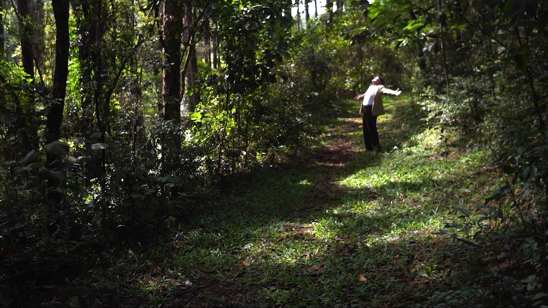 Cidade Natureza 2022 movie scene