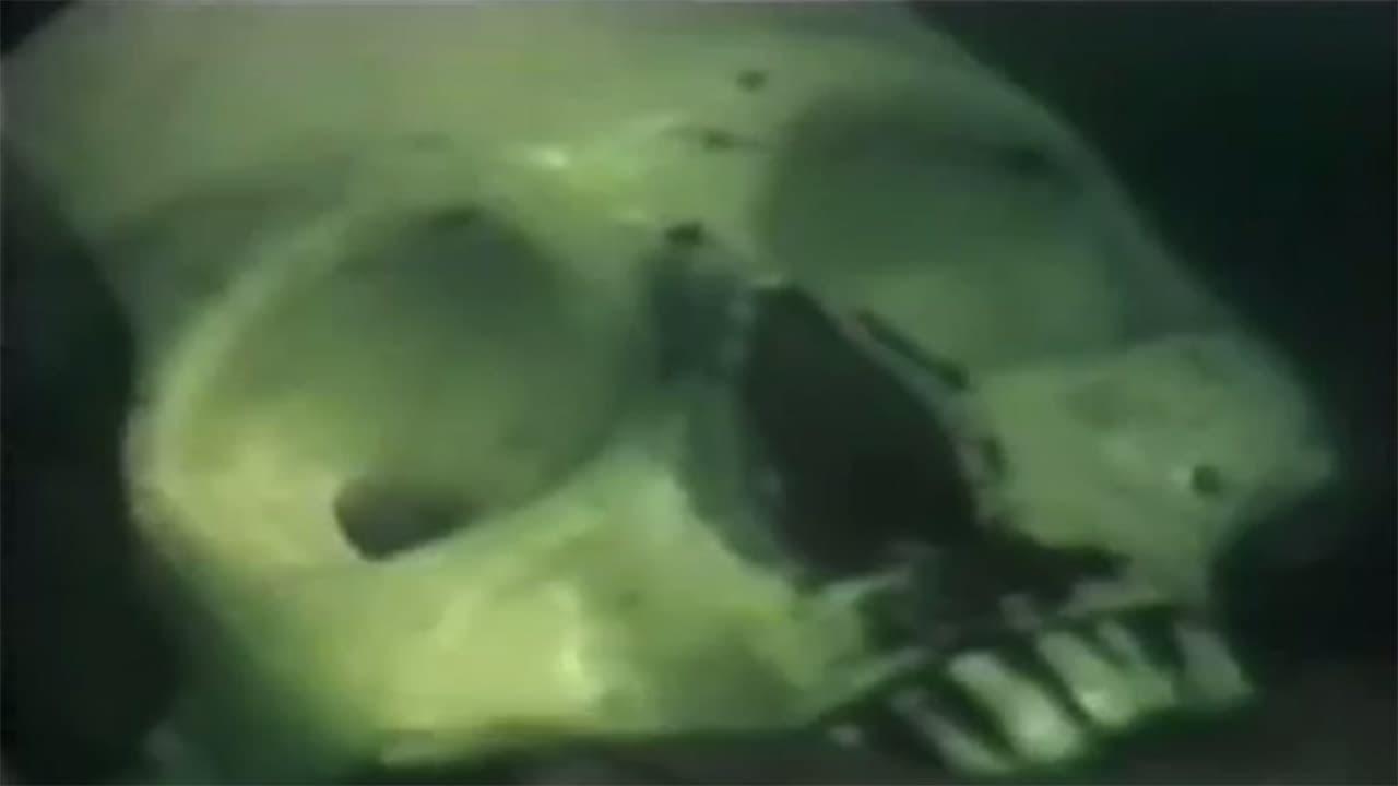 Night of Horror 1981 movie scene