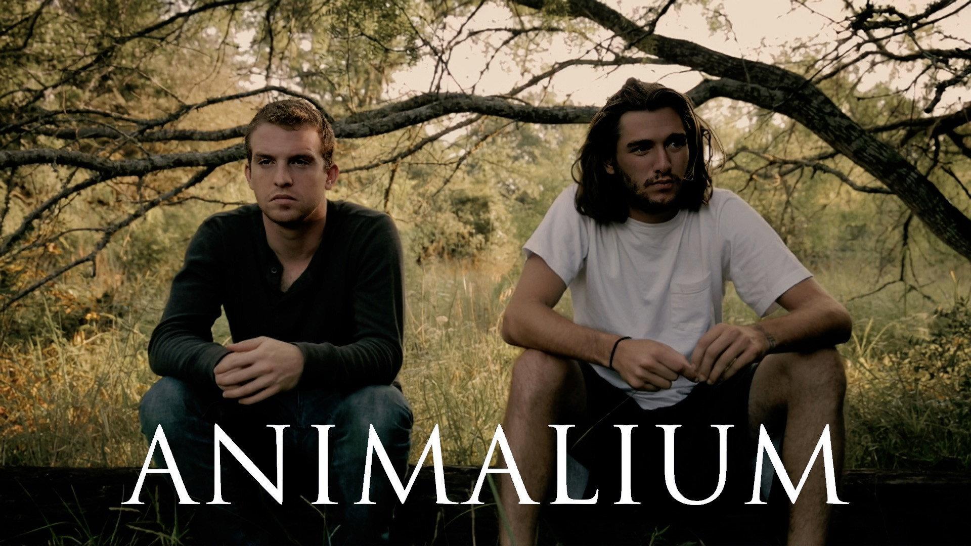 Animalium 2017 movie scene