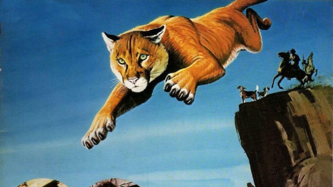 Run, Cougar, Run 1972 movie scene