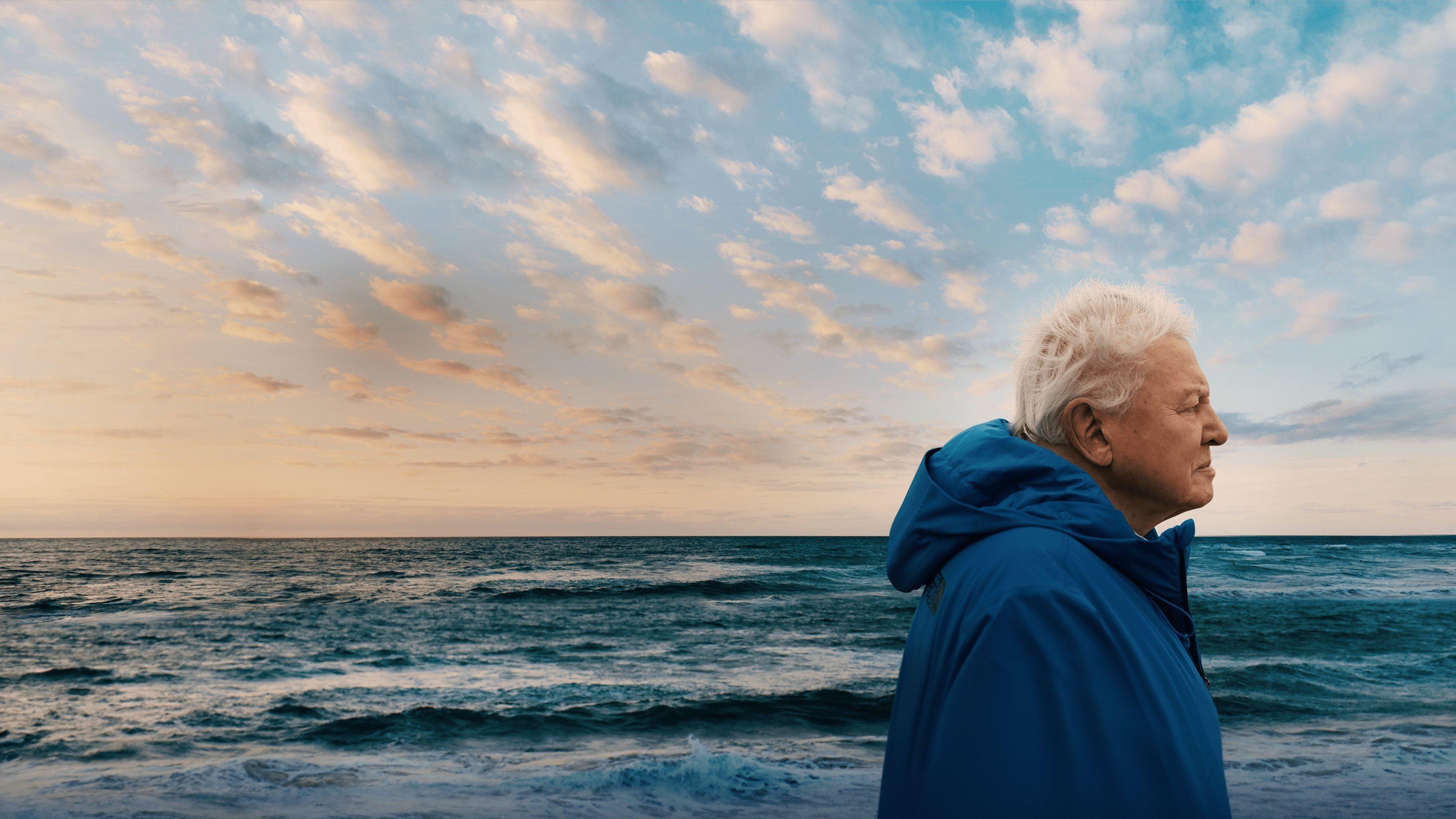 Ocean with David Attenborough 2025 movie scene